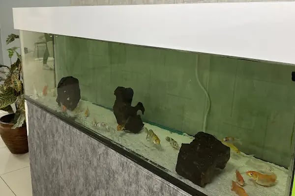 Özel Çayırova Ağız ve Diş Sağlığı Polikliniği - Resim 16