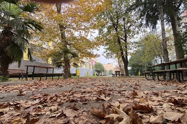Çınar Anadolu Lisesi - Resim 7