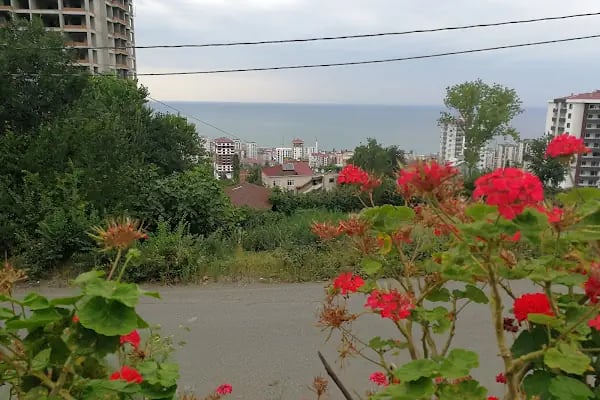 Noor Trabzon - Resim 2