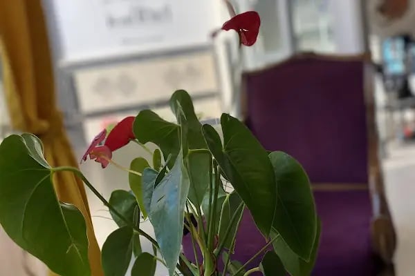 Busu Sanat Atölyesi - Resim 18