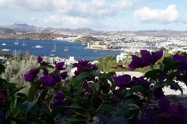 Yula Bodrum - Drink & Chill - Resim 7