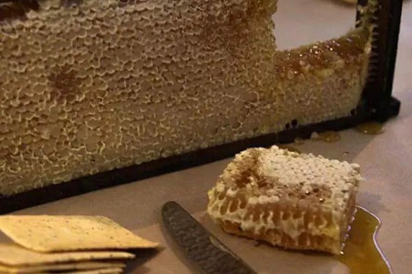 Kars Ardahan Iğdır Organik Market ( KARS KAZ ETİ) ANADOLUM - Resim 11