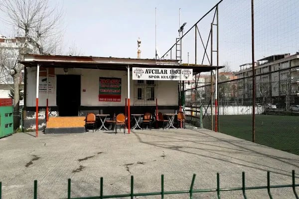 DOST HALI SAHA TESİSLERİ - Resim 4
