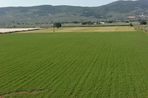 Bursa Free Zone - Resim 8