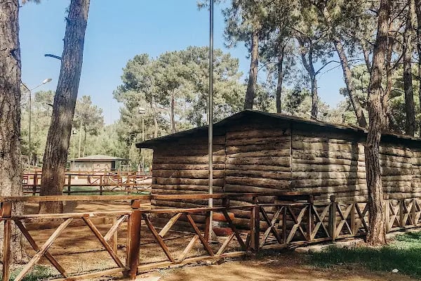 Antalya Kent Ormanı - Resim 11