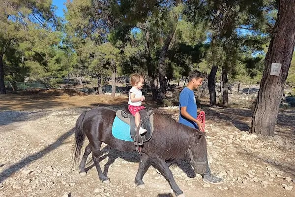 Antalya Kent Ormanı - Resim 18