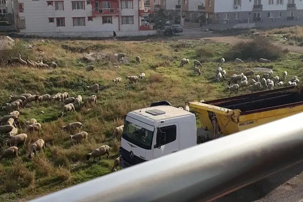 ELİT PANSİYON BERGAMA - Resim 12