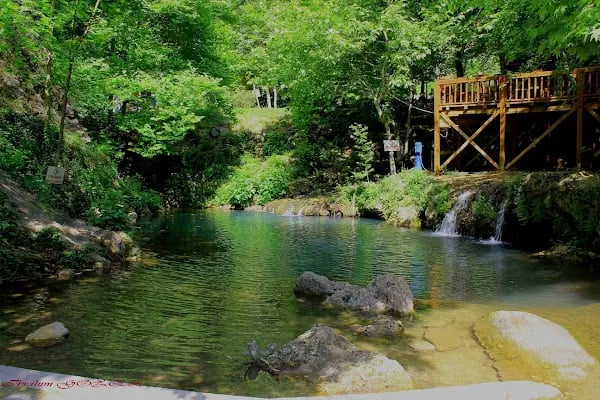 Yerköprü Dinlenme ve Piknik Alanı - Resim 5