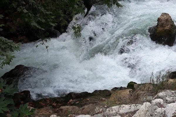 Yerköprü Dinlenme ve Piknik Alanı - Resim 11