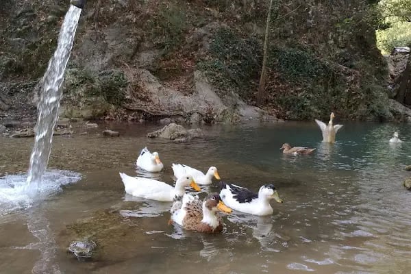 Yerköprü Dinlenme ve Piknik Alanı - Resim 15