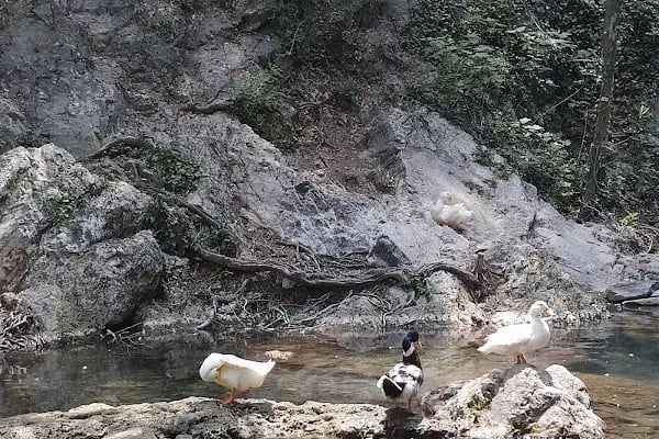 Yerköprü Dinlenme ve Piknik Alanı - Resim 8