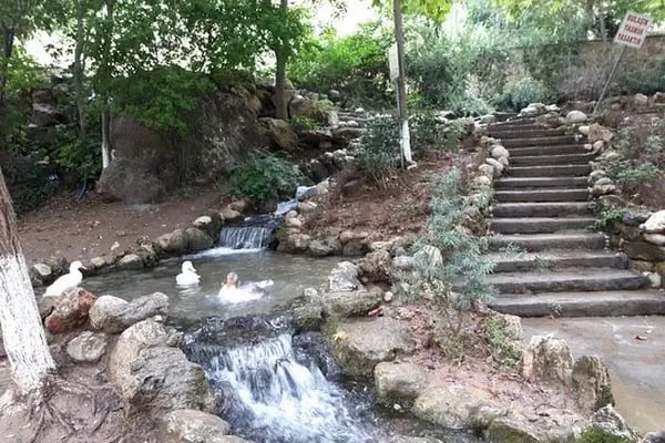 Yerköprü Dinlenme ve Piknik Alanı - Resim 9