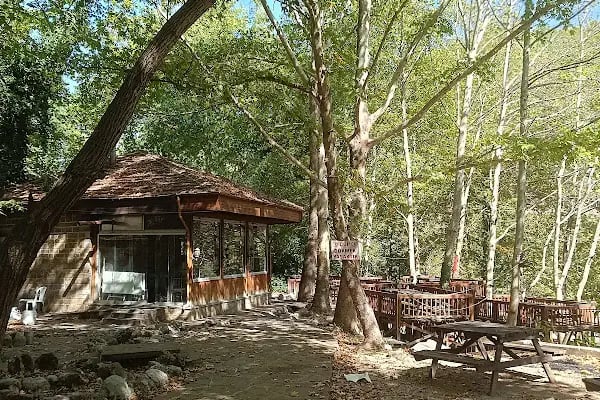Yerköprü Dinlenme ve Piknik Alanı - Resim 10