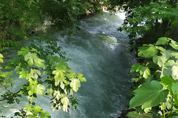 Yerköprü Dinlenme ve Piknik Alanı - Resim 2