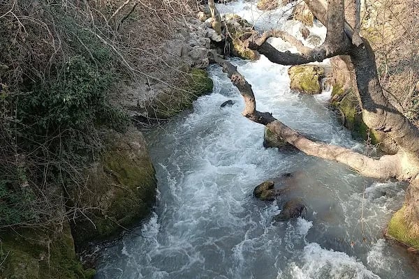 Yerköprü Dinlenme ve Piknik Alanı - Resim 3