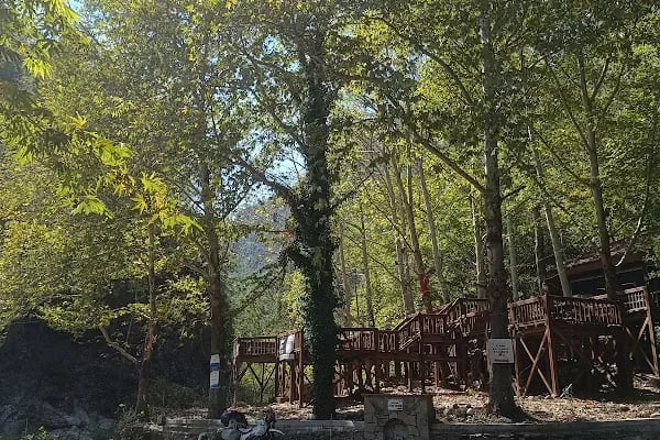 Yerköprü Dinlenme ve Piknik Alanı - Resim 20
