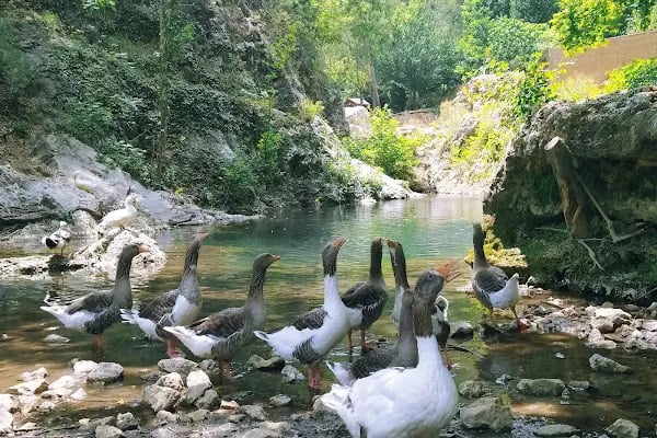 Yerköprü Dinlenme ve Piknik Alanı - Resim 16