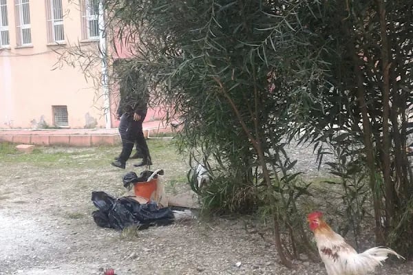 Kurttepe Şehit Ali Öztaş Mesleki ve Teknik Anadolu Lisesi - Resim 18