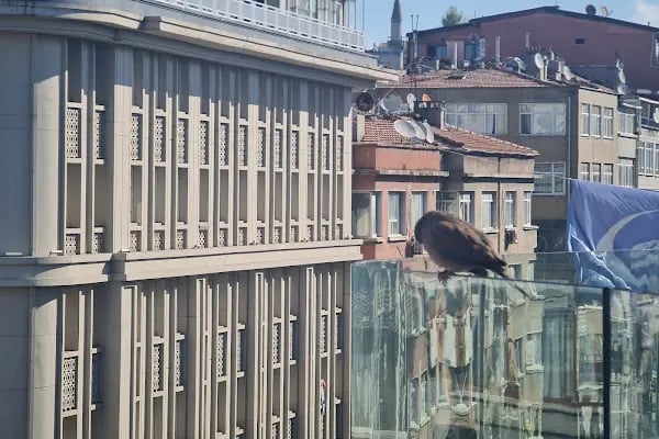 Akdemistanbul Dil Eğitim Kurumları | Arapça, İngilizce, Yabancılara Yönelik Türkçe Kursları, TÖMER ve YÖS Programları - Resim 6