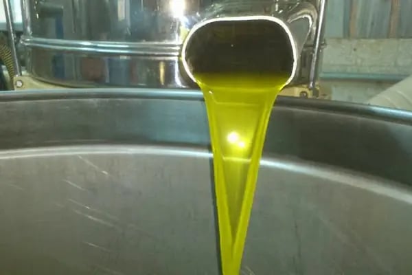 Avni Öztürk Zeytinyağı Fabrikasi - Resim 4