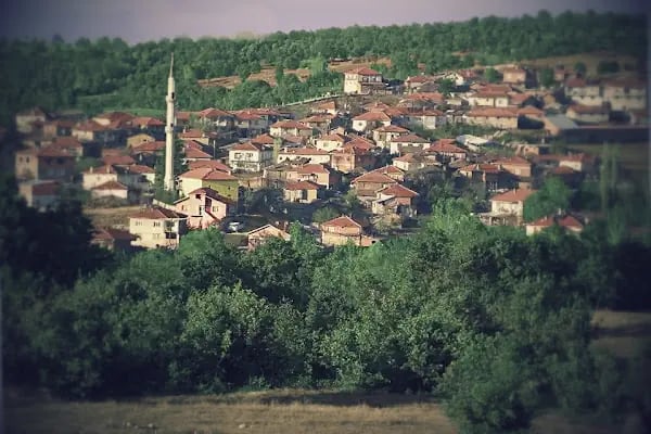 Çeribaşı Köyü Cami - Resim 5