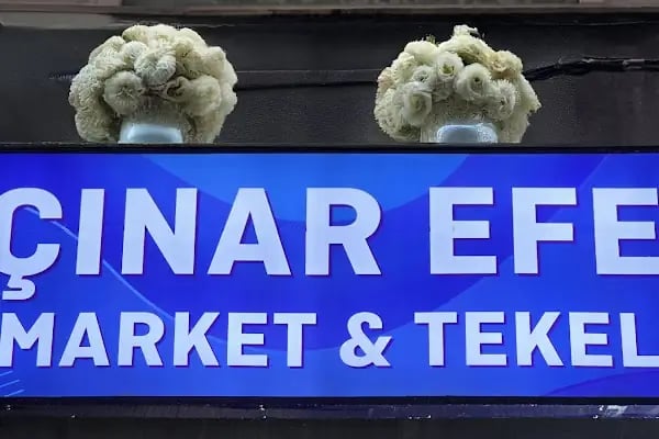 ÇINAR EFE TEKEL - Resim 3