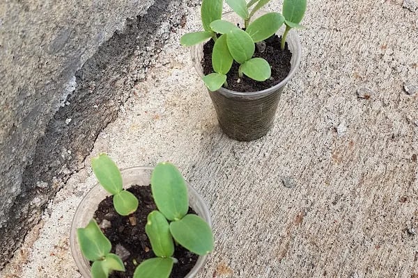 DALOĞLU DÖKÜM MAKİNA SAN.ve TİC.LTD.ŞTİ. OSB ŞUBESİ - Resim 2