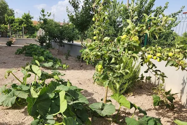 Kabaklı Apart Pansiyon - Resim 17