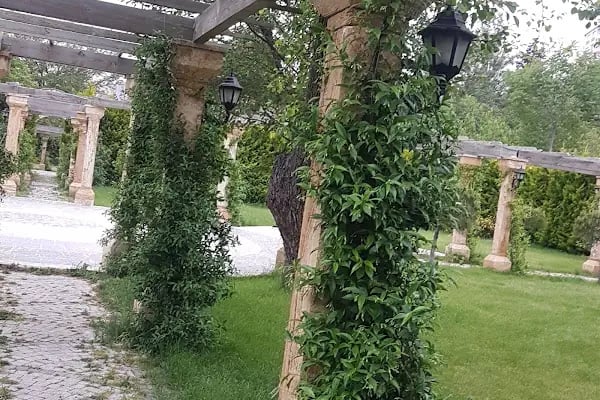 İpek Wedding Balo Davet &amp; Düğün ve Kına Solanları - Resim 19