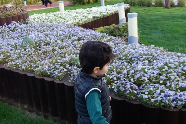 Çevre Eğitim Parkı - Resim 19