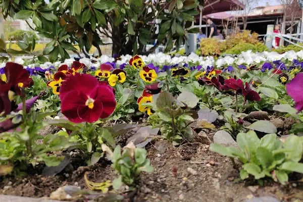 Çevre Eğitim Parkı - Resim 12
