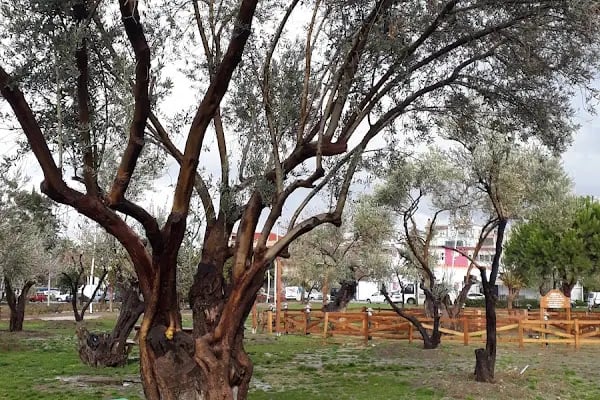 Engelsiz Park - Resim 11