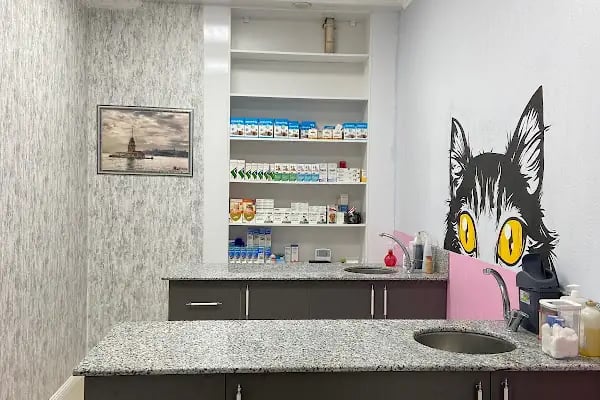 KONYA VETLANTİS VETERİNER KLİNİĞİ - Resim 15