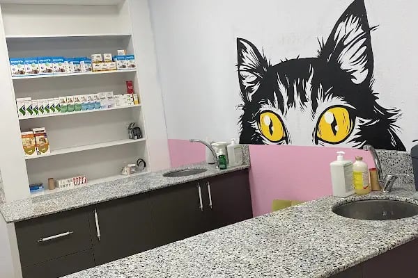 KONYA VETLANTİS VETERİNER KLİNİĞİ - Resim 6