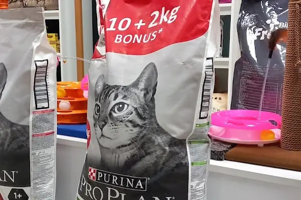 KONYA VETLANTİS VETERİNER KLİNİĞİ - Resim 17