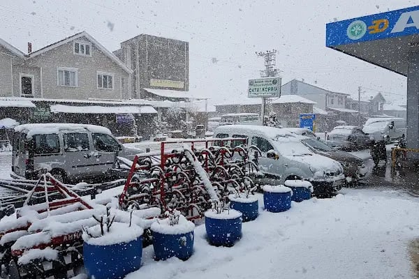 S.s. Adapazarı Pancar Ekicileri Kooperatifi Çatalköprü Satış Mağazası - Resim 2