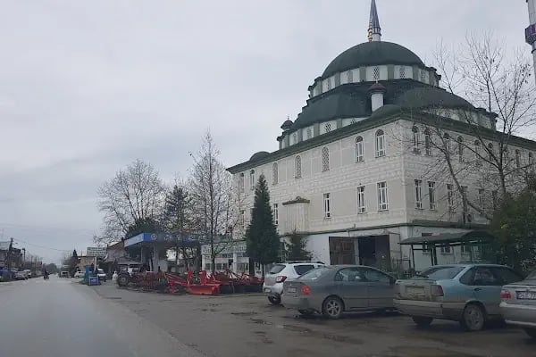 S.s. Adapazarı Pancar Ekicileri Kooperatifi Çatalköprü Satış Mağazası - Resim 6