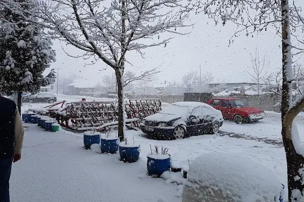 S.s. Adapazarı Pancar Ekicileri Kooperatifi Çatalköprü Satış Mağazası - Resim 4