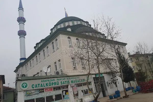 S.s. Adapazarı Pancar Ekicileri Kooperatifi Çatalköprü Satış Mağazası - Resim 7