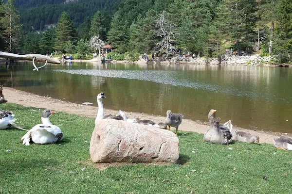 Tabiat Parki - Resim 13