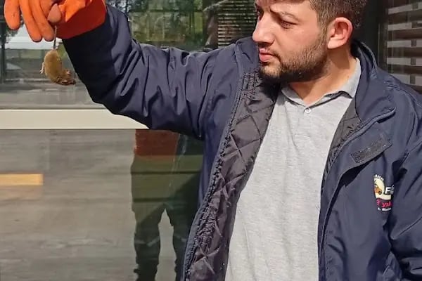 Fidas İlaçlama | ALO BÖCEK | Adana Haşere ve Böcek İlaçlama Firması - Resim 12