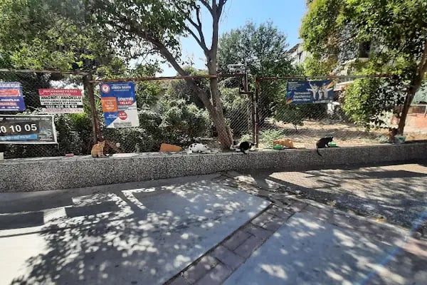 Buca Çevik Bir Taksi - Resim 12