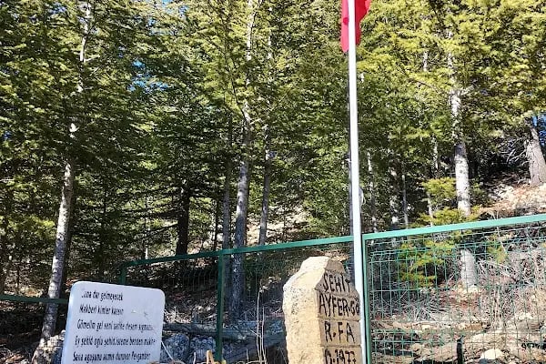Şehit Hava Pilot Teğmen Ayfer Gök Anaokulu - Resim 3