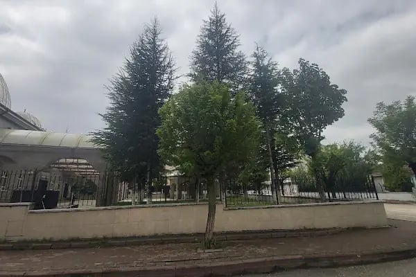 Halit Paşa Cami - Resim 4