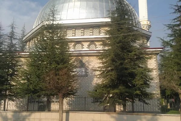 Halit Paşa Cami - Resim 8