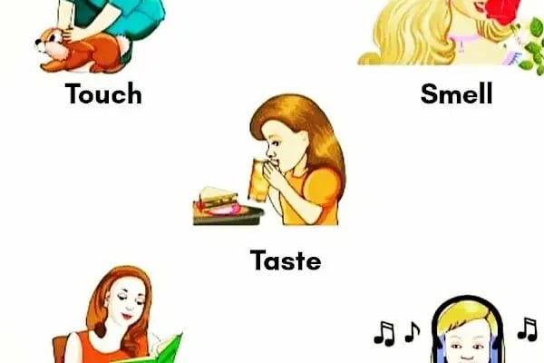 Englishme Bağlıca İngilizce Özel Ders - Resim 14