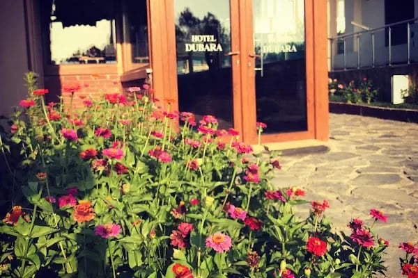 DUBARA HOTEL - Resim 7