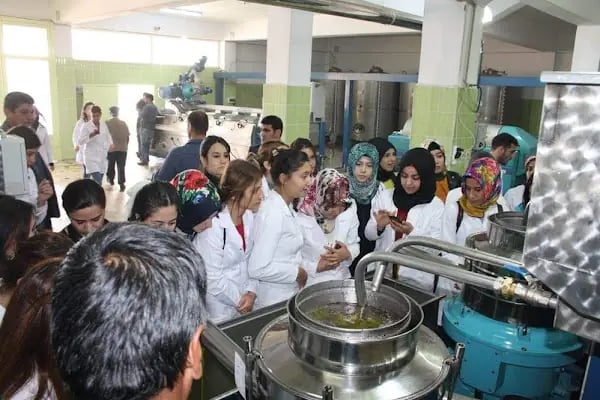 Karabacak Kontini Zeytinyağı Fıstık Kavlatma Fabrikasi - Resim 4