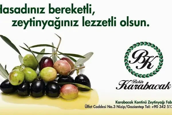 Karabacak Kontini Zeytinyağı Fıstık Kavlatma Fabrikasi - Resim 8