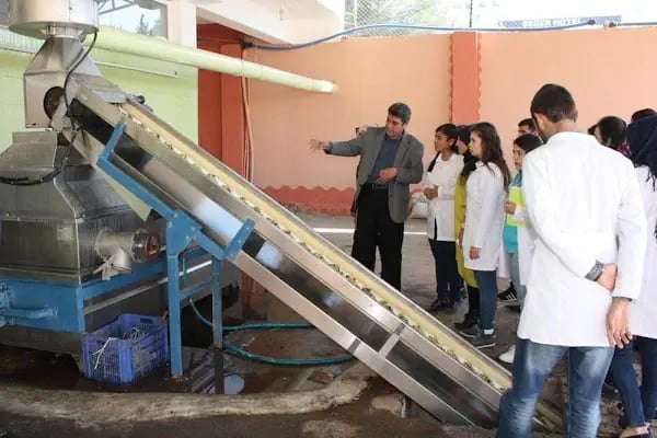Karabacak Kontini Zeytinyağı Fıstık Kavlatma Fabrikasi - Resim 2
